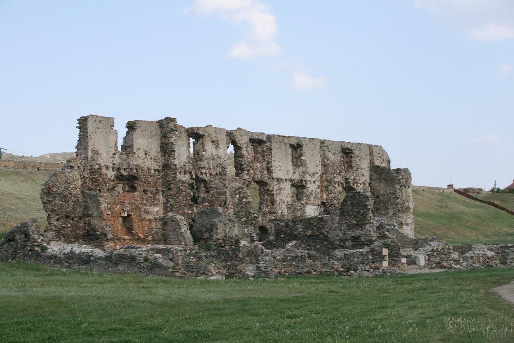 Palmeras 3.2 روساس المظهر الخارجي الصورة